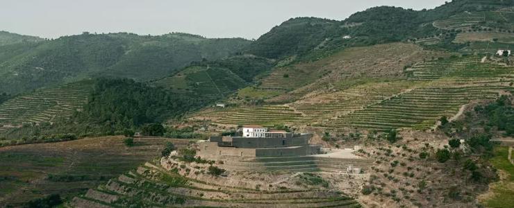 10456_Niepoort-Banner