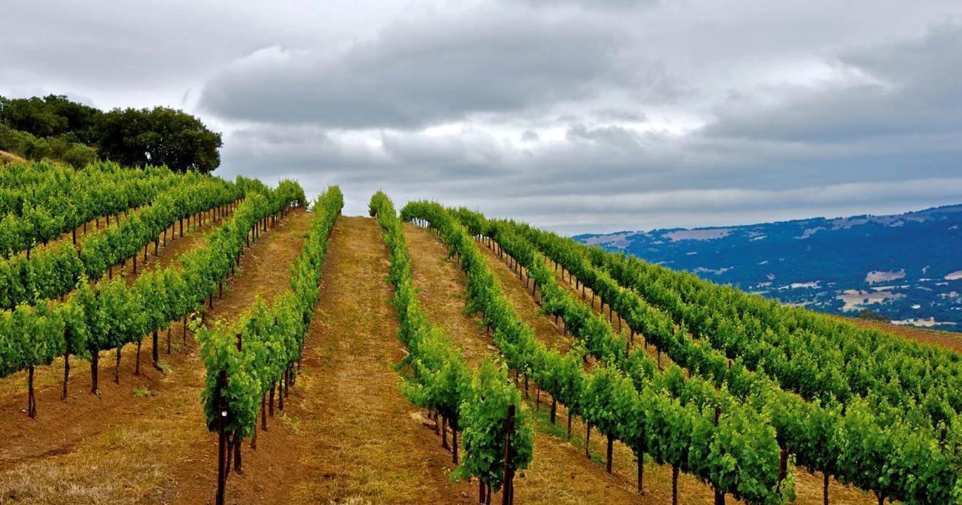 13545_clipboard-2023-08-04-10-30-08.image