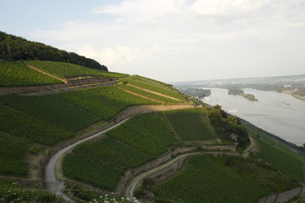 8735_Berg_Schlossberg_c_.org