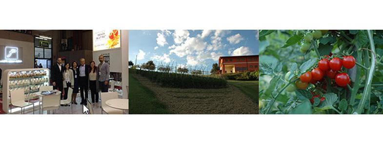 11667_banner-casale-paradiso