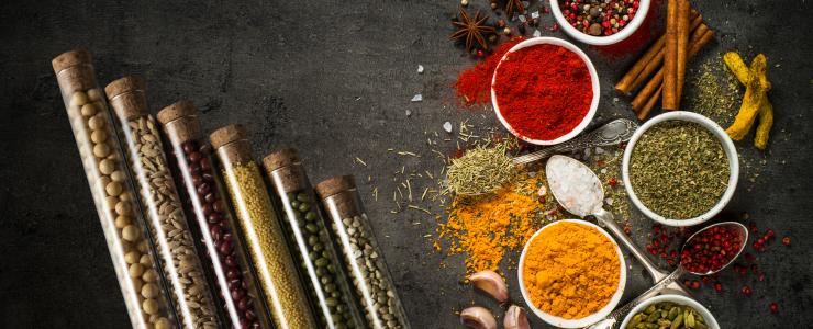 17442_mykraut-Hersteller-Banner