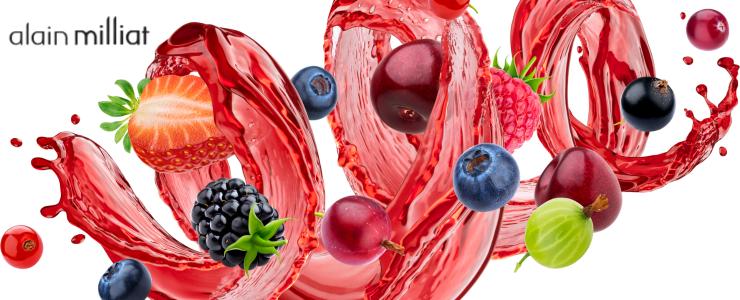 16666_Alain-Milliat-Hersteller-Banner