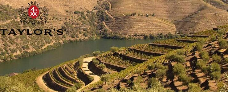 10192_Taylor-Banner