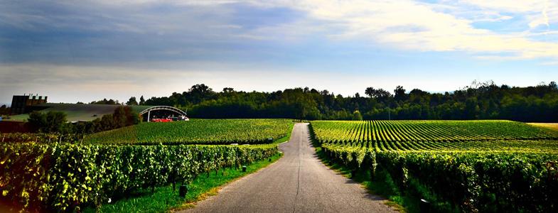 9152_banner_ca_del_bosco