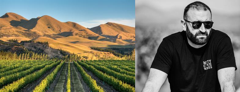 11678_banner-misty-cove