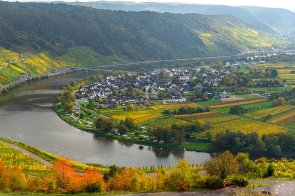 mosel